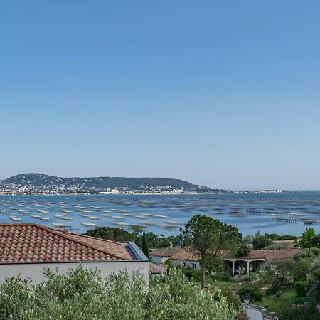 With Panoramic Views Of Thau Lagoon Бузиг
